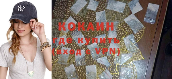 ГАЛЛЮЦИНОГЕННЫЕ ГРИБЫ Лагань