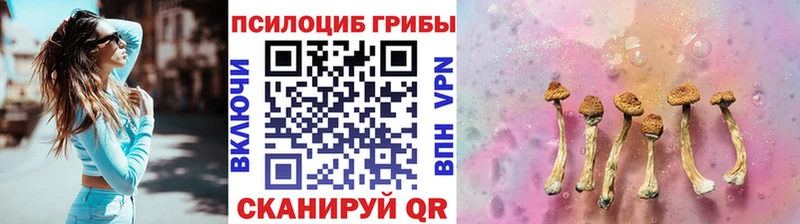 Псилоцибиновые грибы GOLDEN TEACHER  Купить  Жирновск 