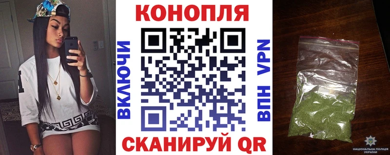 Купить  Жирновск  МАРИХУАНА ГИДРОПОН 